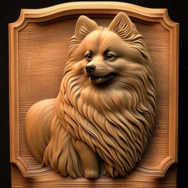 3D model Keeshond dog (STL)